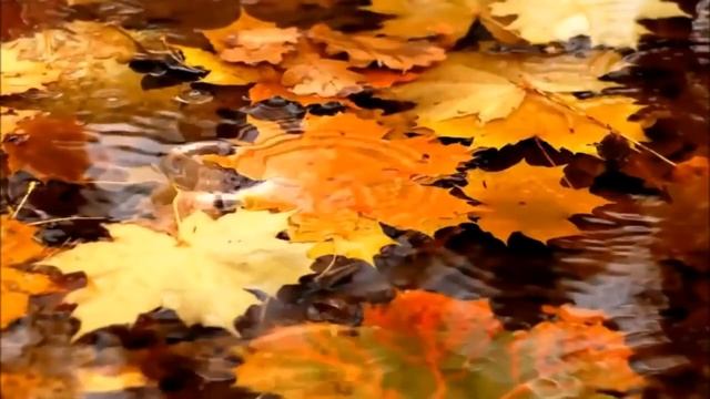 Гуляла женщина одна ? Очаровательный вокал Любови Великановой смотреть онлайн