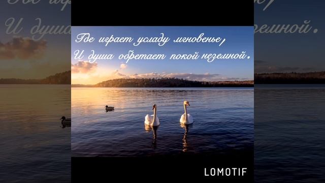Добрый вечер! Не много, не мало… В этом слове услышишь лишь только покой. смотреть онлайн
