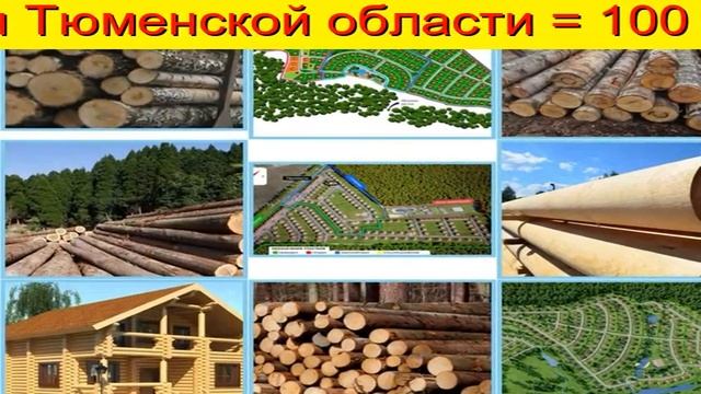 Сосна Пиловочник Тюмень смотреть онлайн