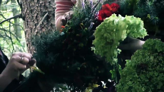 ПОЛЕ ЧУДЕС смотреть онлайн