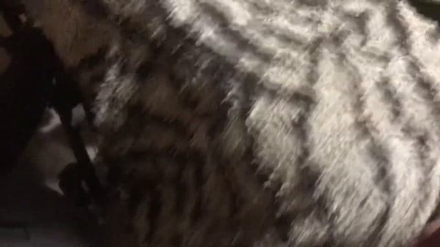 Днепр МТ-11. ПЕРВЫЕ ЗАНЯТИЯ смотреть онлайн