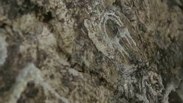 Бесшатырские царские курганы | Сакральный Казахстан | 5 класс смотреть онлайн