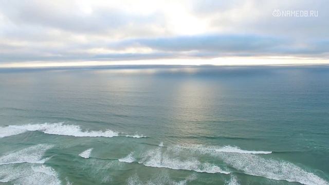 Скорпион-ребенок и его воспитание смотреть онлайн