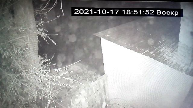 это первая камера на улице ночью смотреть онлайн