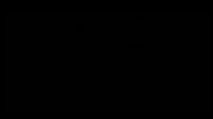 Stalker a crash has been detected by bugtrap как исправить и убрать ошибку