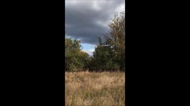 Стихи об осени смотреть онлайн
