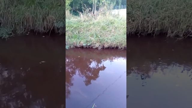 Экология Москвы смотреть онлайн