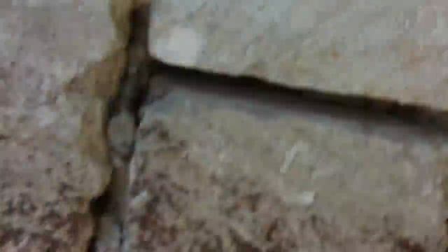 Цветочный мир смотреть онлайн