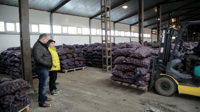 30.10.2018г. Тел: 89122201326-картофель оптом. Крупные поставки картофеля с Урала. смотреть онлайн