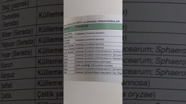 Tarladaki çilek mantar hastalığından dolayı kuruyorsa NE İLAÇ KULLAN MALIYIM? смотреть онлайн