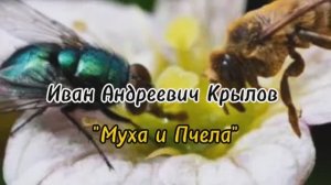 Басня «Муха и Пчела», И.А. Крылов