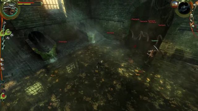 The Witcher - Fighting The Zeugl смотреть онлайн