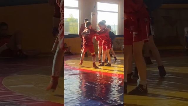 Тренировка#самбо#брат#борьба#самбисты#москва#shortsvideo смотреть онлайн