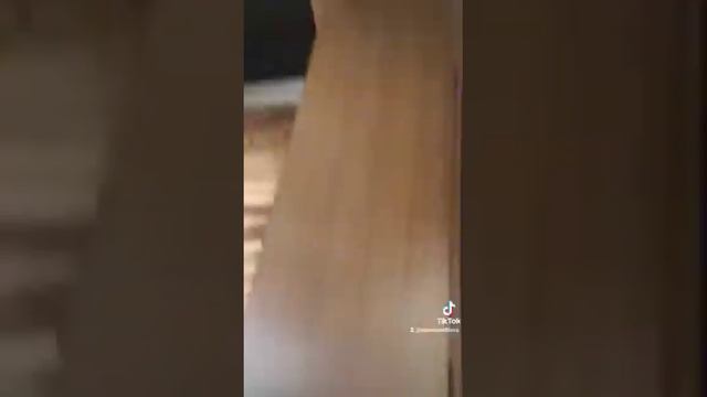 Niewiadow n126d Прицепдом, прицепдача, прицеп для путешествий. смотреть онлайн