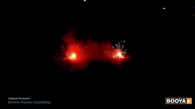 Riesen Boden Wirbel / Bloom Flower XXL | Feuerwerk Belgien