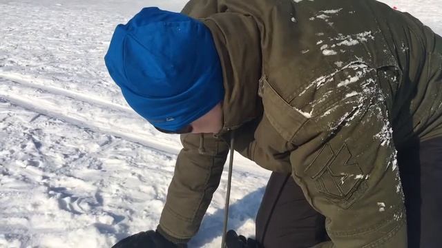 Питон отметил 23 февраля, сломал все кости смотреть онлайн