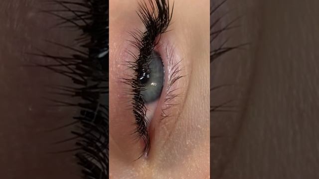 Наращивание ресниц 2D объем, изгиб С+L, цвет черный, длина до 12 мм, лисий эффект смотреть онлайн