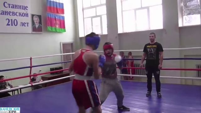 Спарринги юных каневских боксеров смотреть онлайн