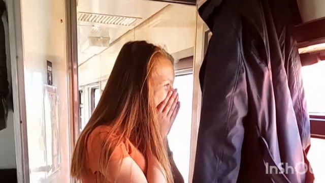 Едем забирать щенка самоеда. Первый день щенка дома.