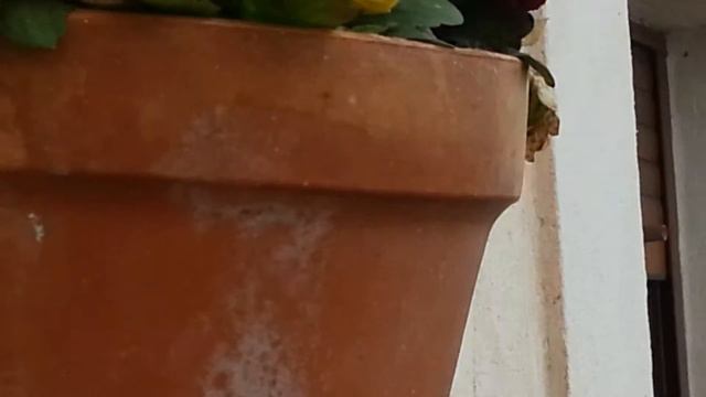 La Torre De Juan Abad nevada смотреть онлайн