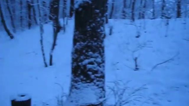 Совет в Филях, берно тусовка.