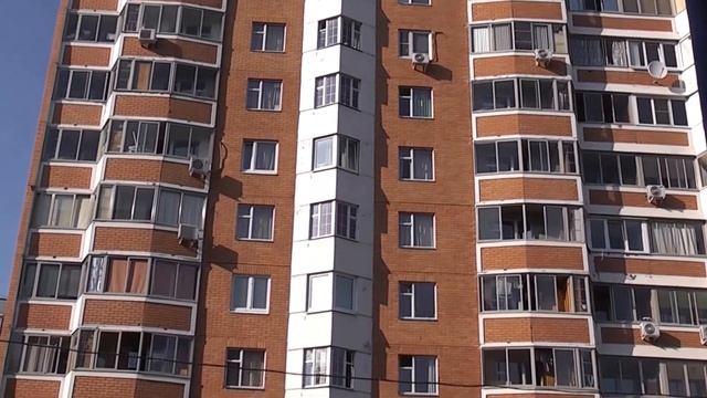 Мама около дома в Царицыно. Ей тогда был 81 год. смотреть онлайн