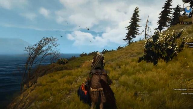 The Witcher 3 FPS TEST NVIDIA GTX 970 Intel(R) Xeon(R) CPU E5-2690 смотреть онлайн