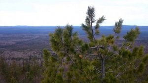 Гора Колпаки. Пермский край. Путешествия по Уралу