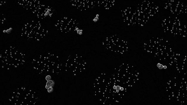 Так ли плоха спекулятивная зоология? смотреть онлайн
