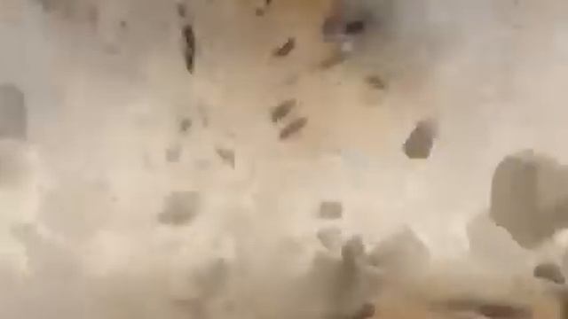 Попугай Кеша смотреть онлайн