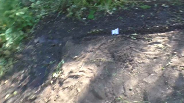 ЧТО МОЖЕТ ВЫРАСТИТЬ ШКОЛЬНИК НА ОГОРОДЕ!? #2 СЕЕМ СЕМЕНА!