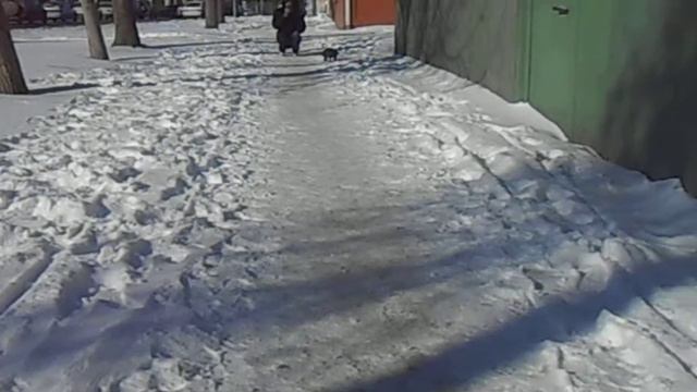 Ямаха зимой смотреть онлайн