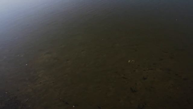 Песчаный пляж на реке Ока у д.Тимофеевка, камень желаний. зу 229, Ферзиковский р-н, Калужская обл. смотреть онлайн