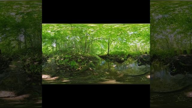 медитация "Дерево" смотреть онлайн