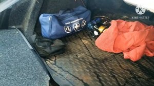 Законно и бесплатно  подробно как срубить ёлку на новый год и рождество