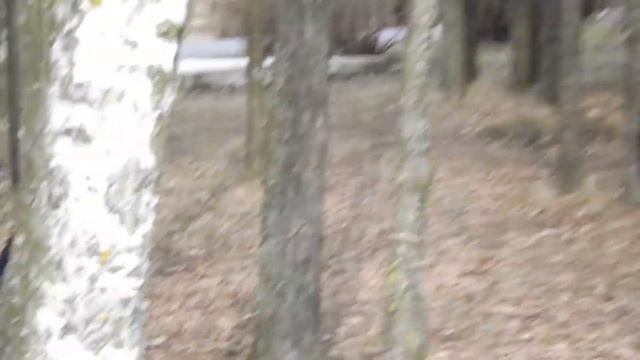 лучшее поздравление девочек с 8 марта смотреть онлайн