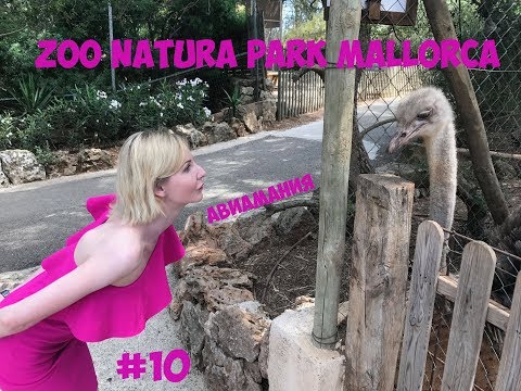 Испания Майорка Натура Парк (Zoo Natura Parc) #10 смотреть онлайн