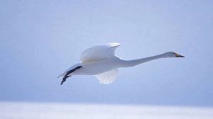 Мир без тебя (Стас Михайлов)