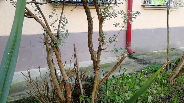 Декабрь уходящего года. смотреть онлайн