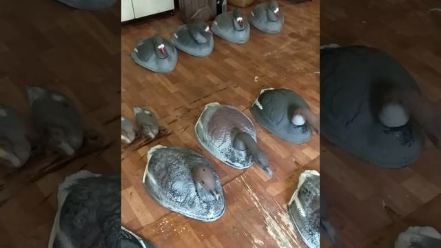 Моя Охота ! Часть 1. смотреть онлайн