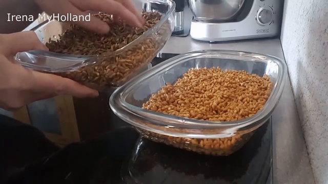 Как правильно прорастить рожь и пшеницу. Полезные советы. Читайте под видео! смотреть онлайн