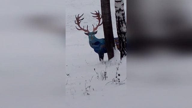 Страна Аленья. Песня. смотреть онлайн