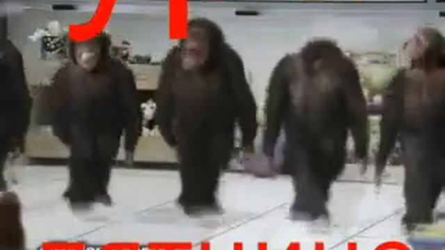 Ура пятница.! ТАНЕЦ Обязьян смотреть онлайн