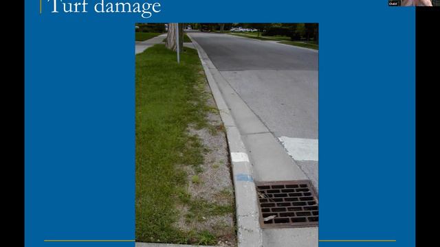 Watering with Jennifer Brennan 7/16/21 смотреть онлайн