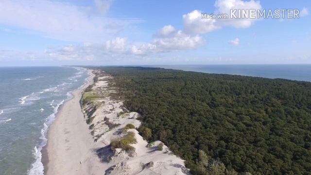 Литературные откровения 