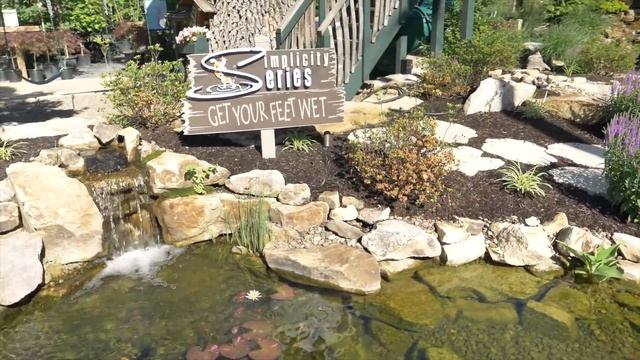 SIX FIGURE LANDSCAPES AND MORE: Greg Wittstock, The Pond Guy смотреть онлайн