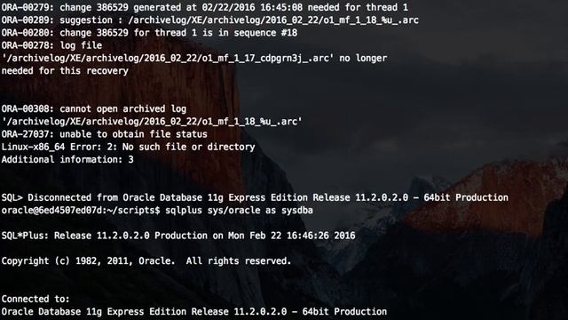 Oracle XE 11g master-slave (standby replication) on Docker смотреть онлайн