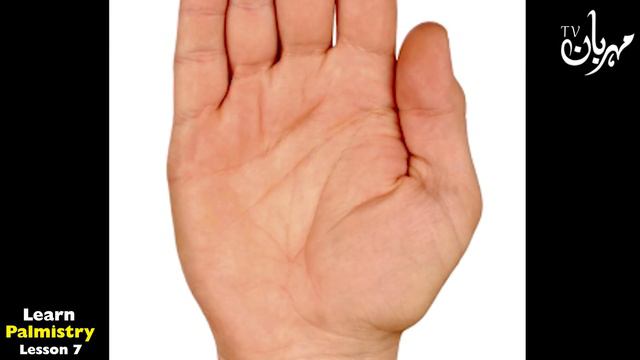 Palmistry Learn 7 | Hath Ki Lakeerain | ilm e jafar | Mehrban Ali | Hathon Ki Lakeerain Parhna смотреть онлайн