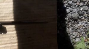 Съёмник шкива ДВС 2С, 3С,3СЕ своими руками.Откручиваю гайку коленвала и снимаю шкив