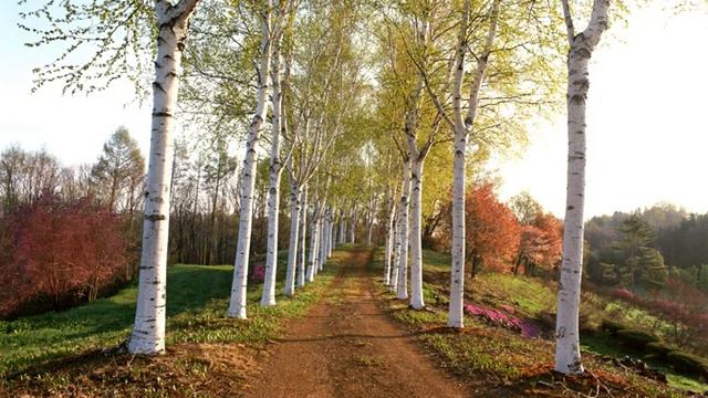 Владимир Шурочкин - "Сколько синих весен" slideshow by ♫CERЁГА♫ смотреть онлайн